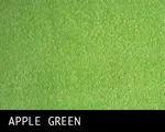 6 Wholesale Large Size Beach Terry Craft Towels 45 X 70 Apple Green image