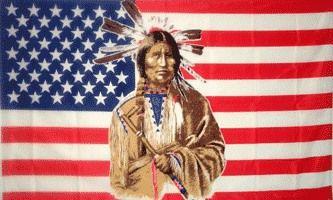 24 Wholesale 3 X 5 Polyester Flag Us Flag Native American With Grommets image
