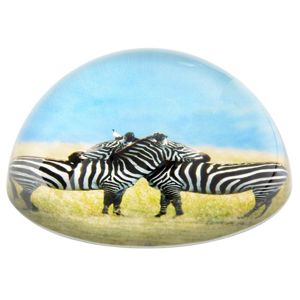 36 Wholesale 80 Mm Dome Paperweight 2 Zebras image