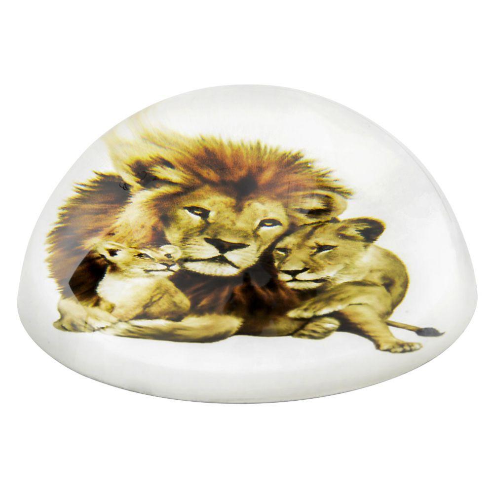 36 Wholesale 80 Mm Dome Paperweight Lion Lioness Cub image