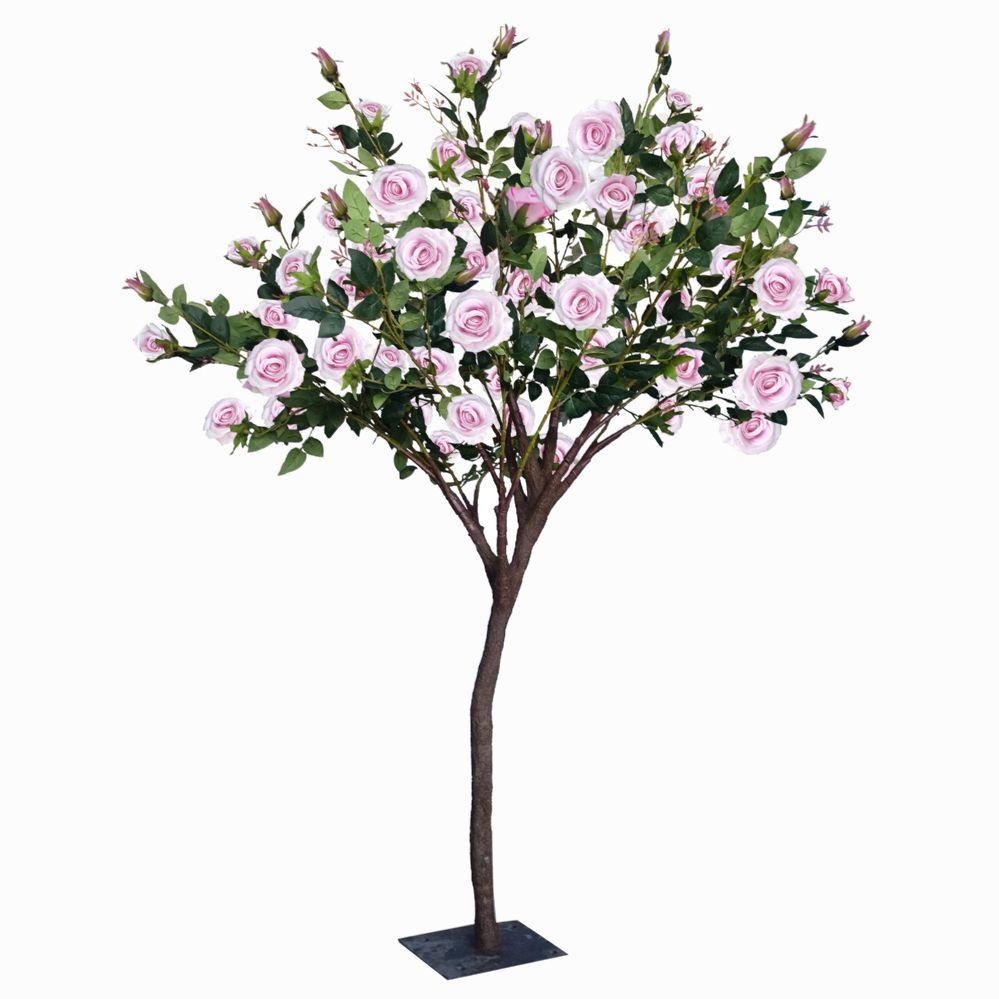 Wholesale Rose Bush Tree 5ft - Pink image
