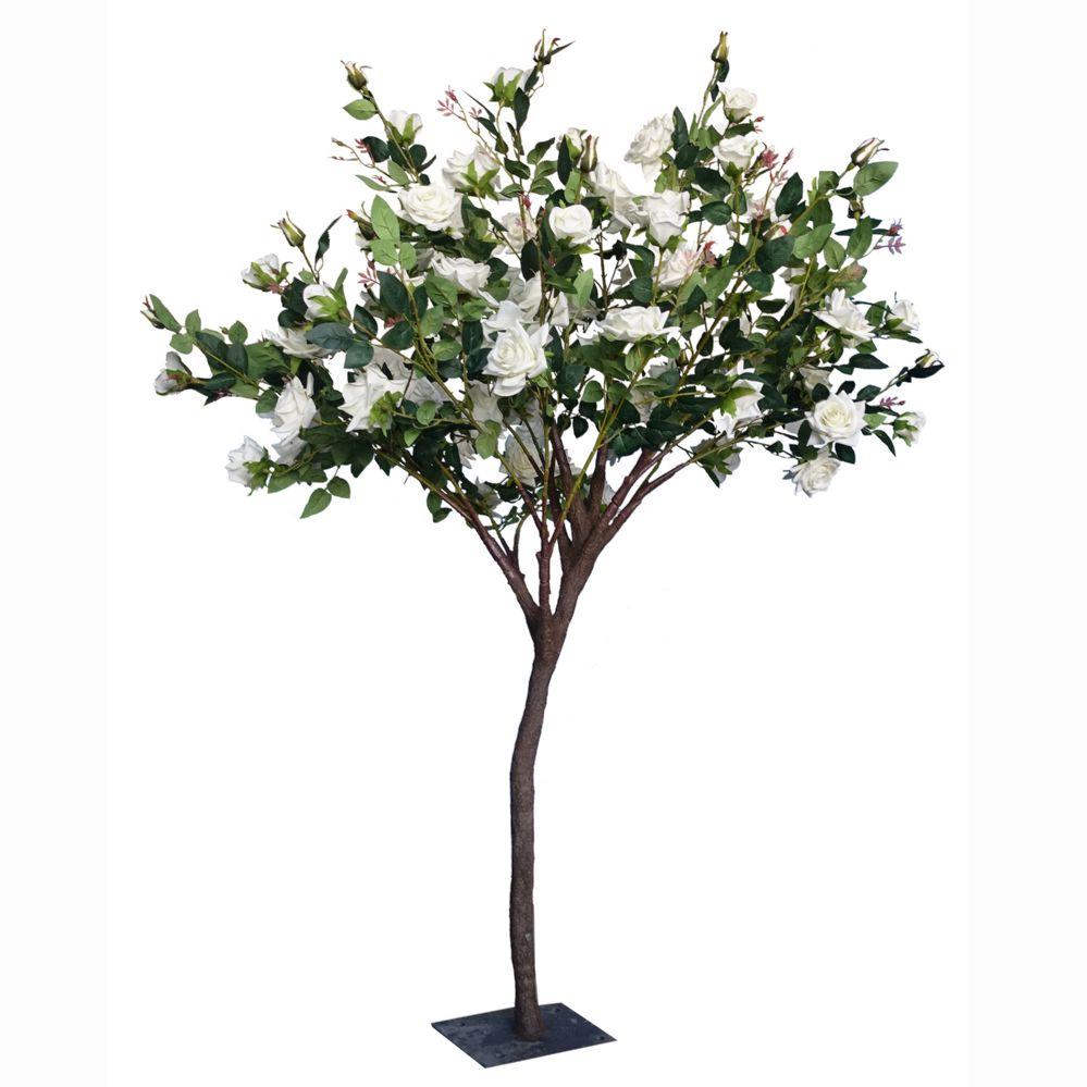 Wholesale Rose Bush Tree 5ft - White image