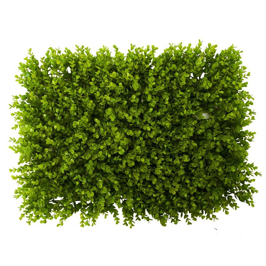 12 Wholesale Artificial Boxwood Mat - Green image