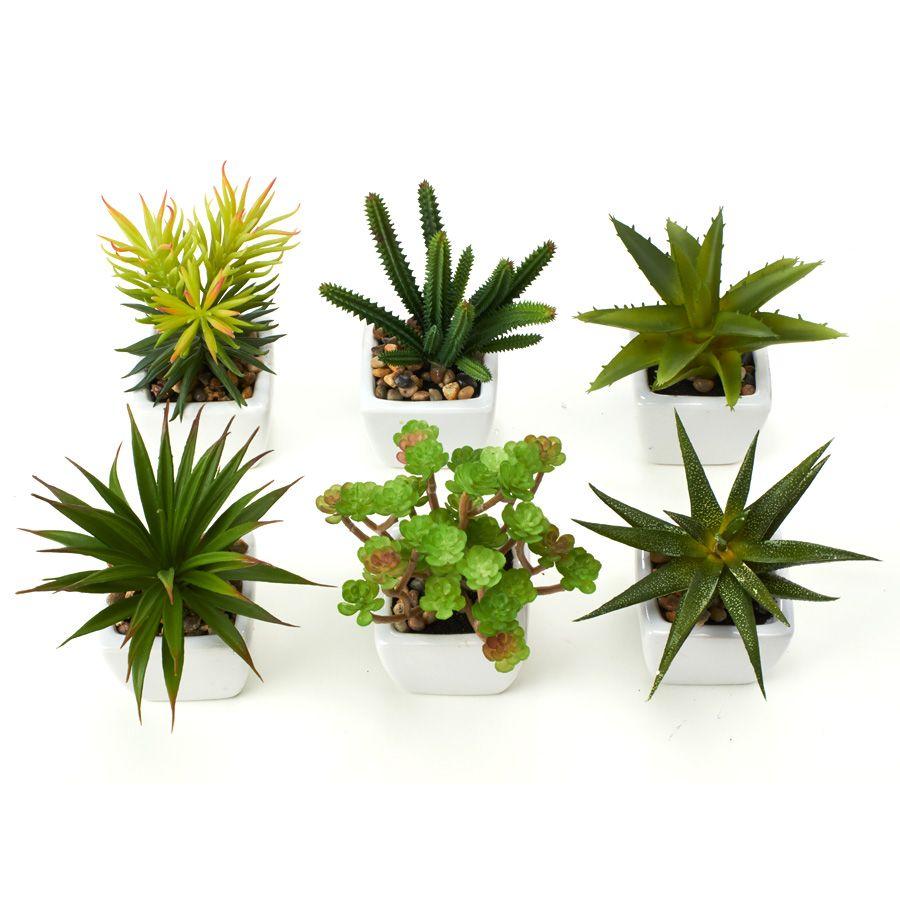 12 Wholesale Artificial Assorted Potted Succulents 2l inches 6pcs/set - Green image