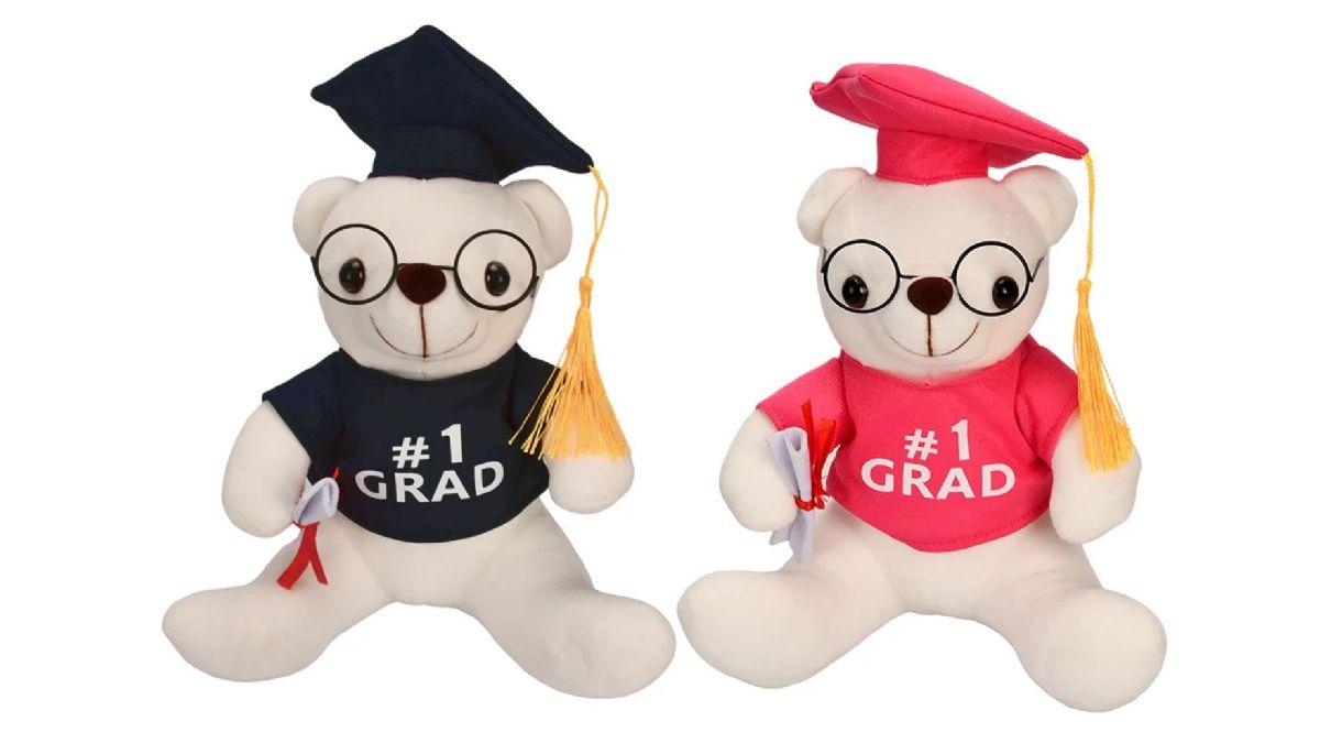 24 Wholesale 9 inch Graduation Bear - Pink, Blue image
