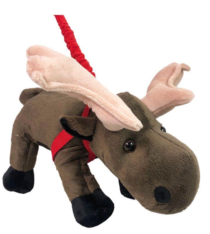 24 Wholesale Moose On A Leash image