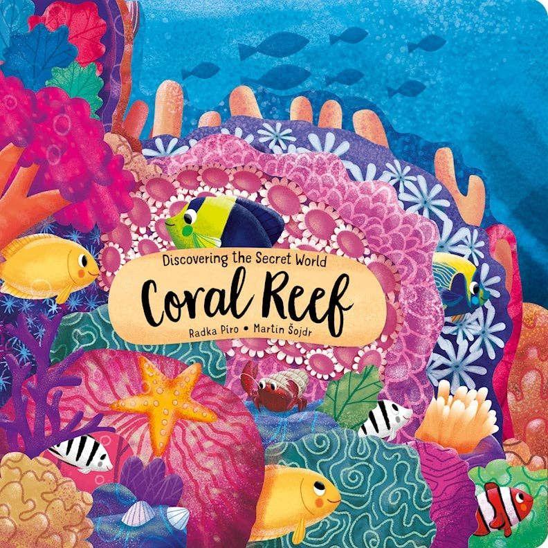12 Wholesale Discovering The Secret World: Coral Reef -Kid's Picture Book image