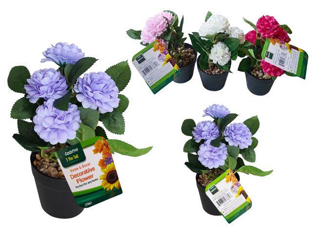 48 Wholesale Flower  W/ Pot 4head 4asst Clr image