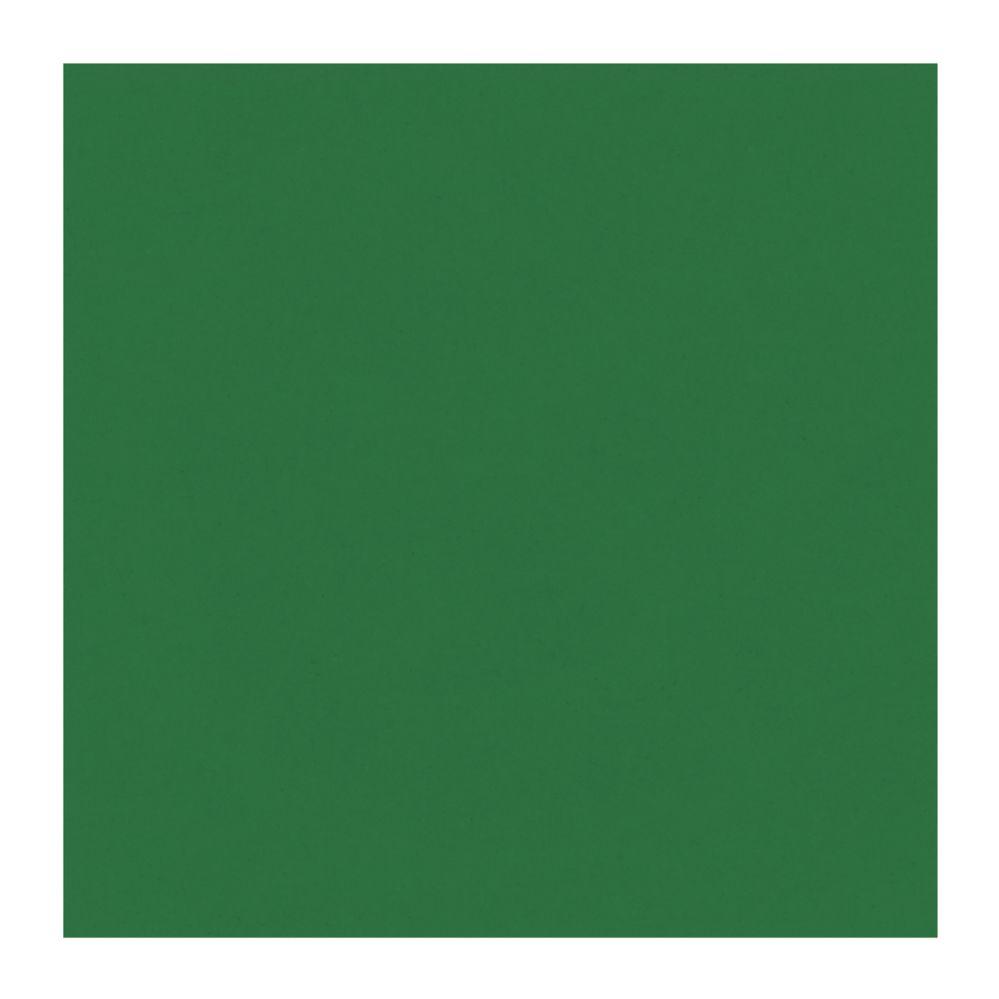 12 Wholesale Tissue Paper Sheets - Green image