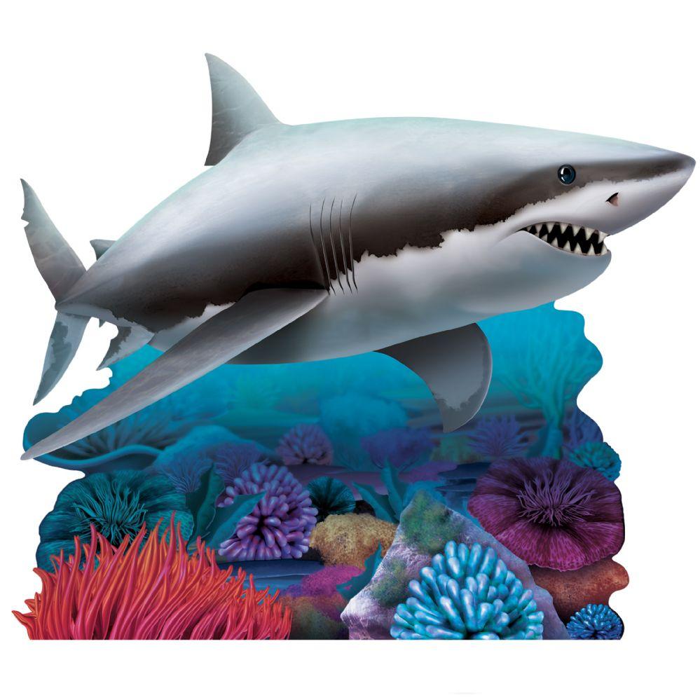 4 Wholesale Shark StanD-up image