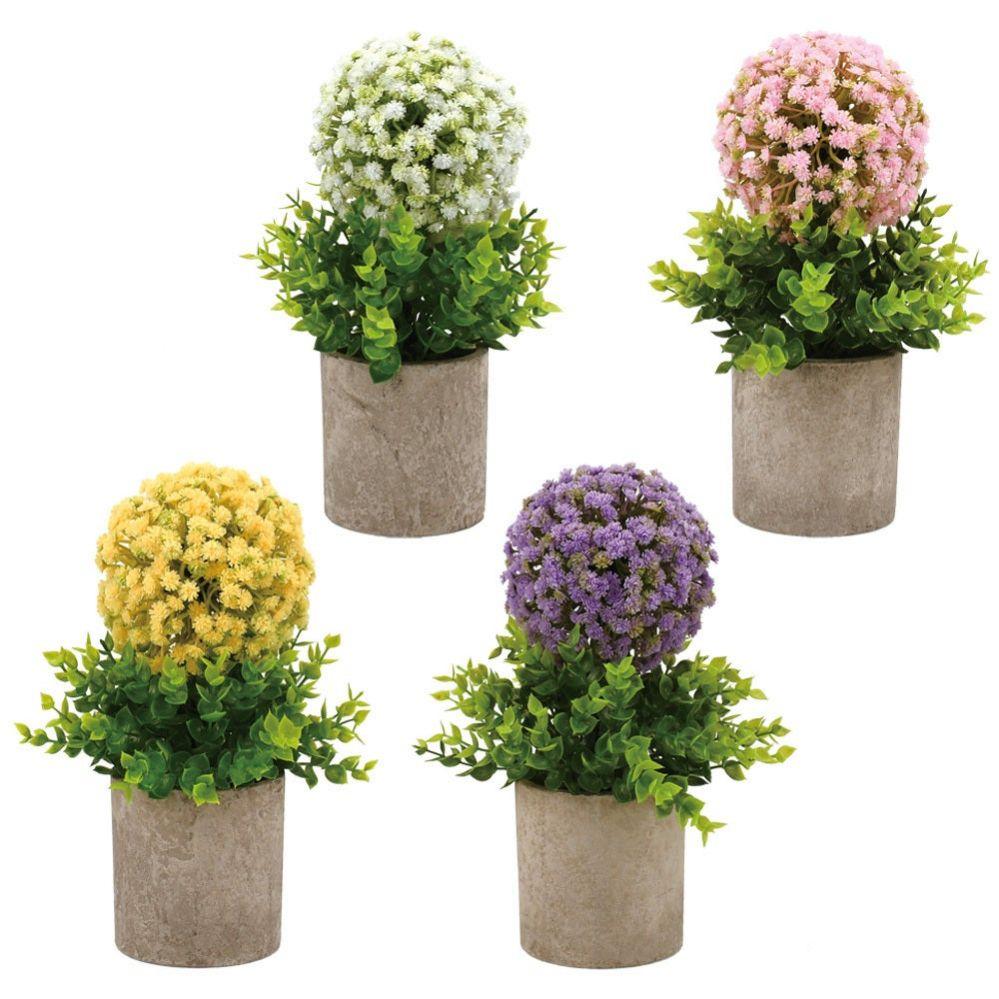 12 Wholesale Potted Plants Astd Clrs image