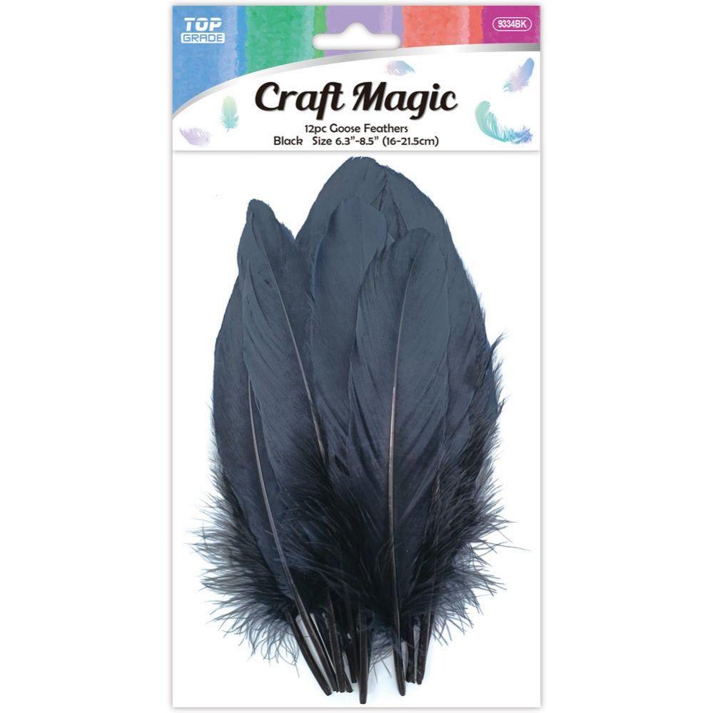 24 Wholesale Goose Feather Black 12ct 16-22cm image
