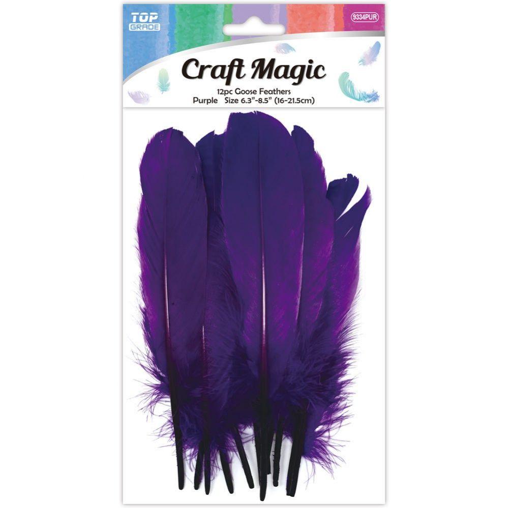 24 Wholesale Goose Feather Purple 12ct 16-22cm image
