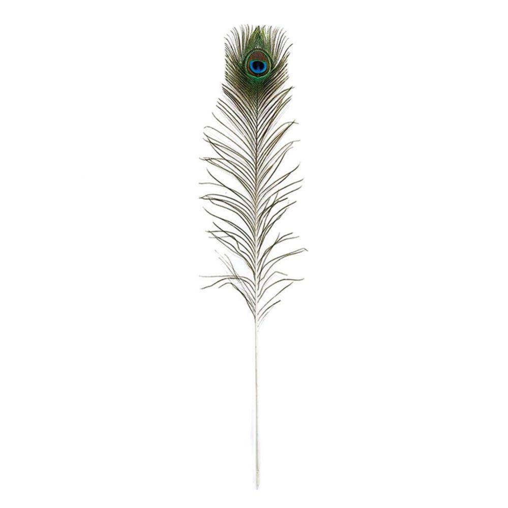 72 Wholesale 30" Peacock Feather image