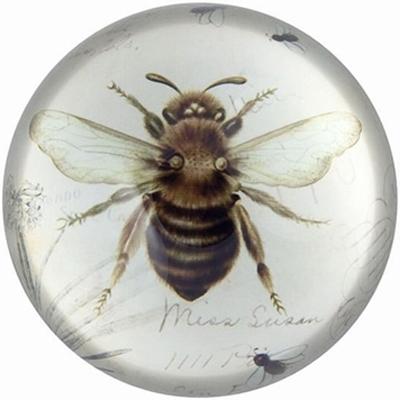 Brown Bee Dome Paperweight image