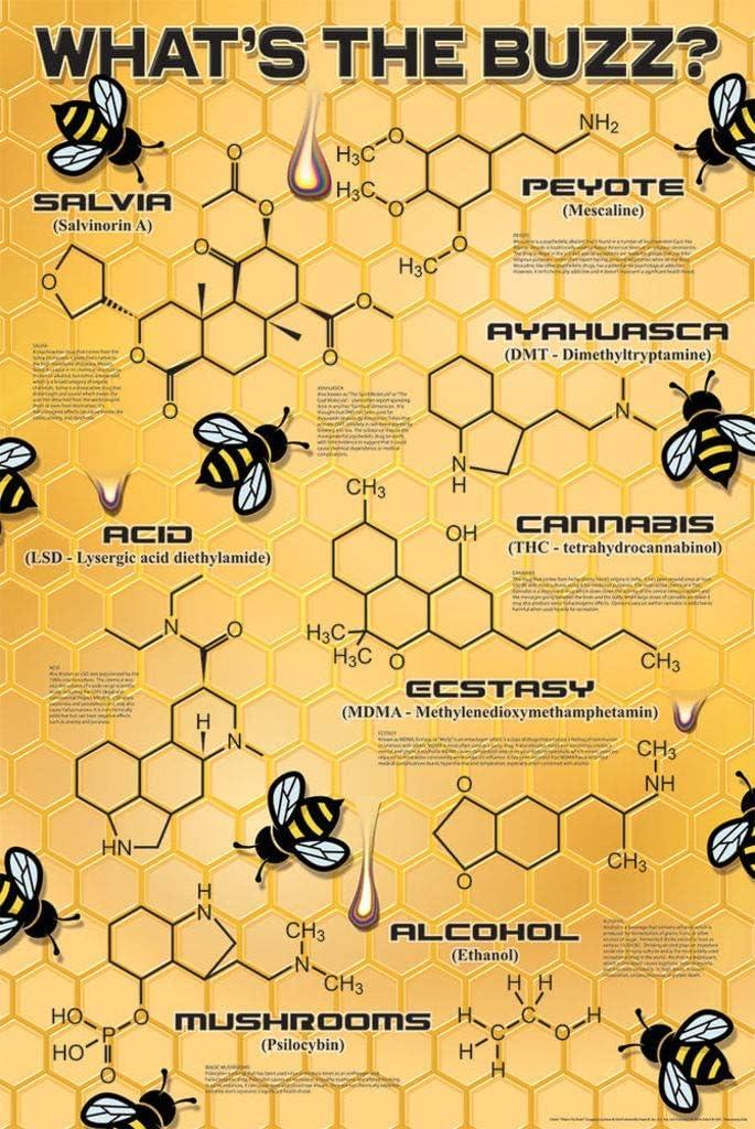 What's the Buzz? Poster - 24" x 36" image