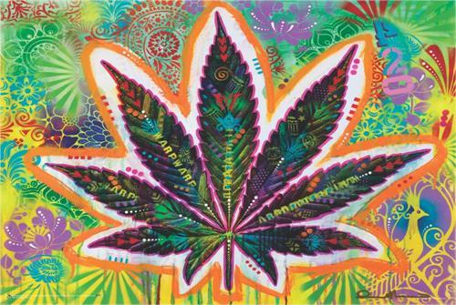 Psychedelic Leaf by Dean Russo Poster 36" x 24" image