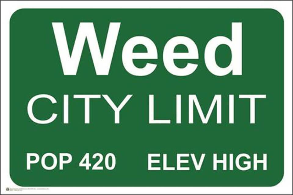 Weed City Limits Poster - 36" x 24" image
