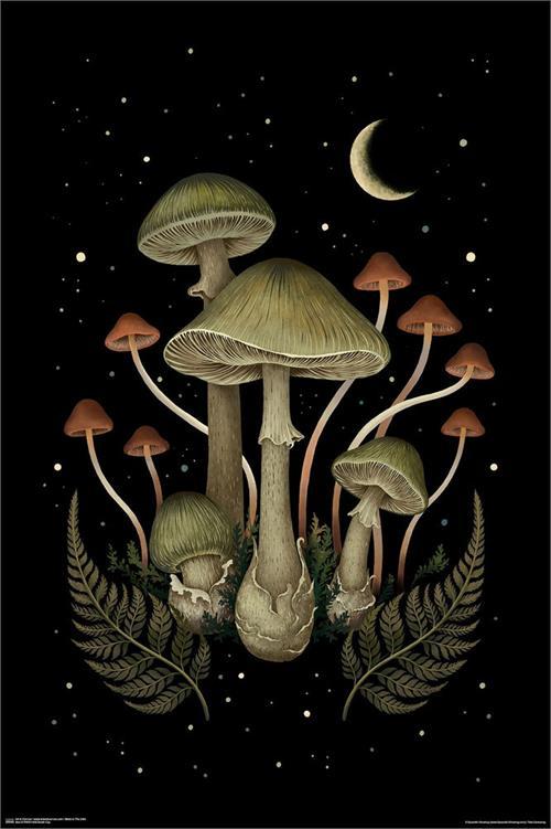 Death Cap Mushrooms Poster - 24" x 36" image