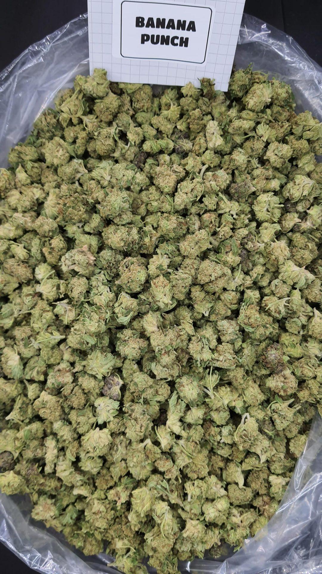 Banana Punch Smalls Light Assist THCA Flower image