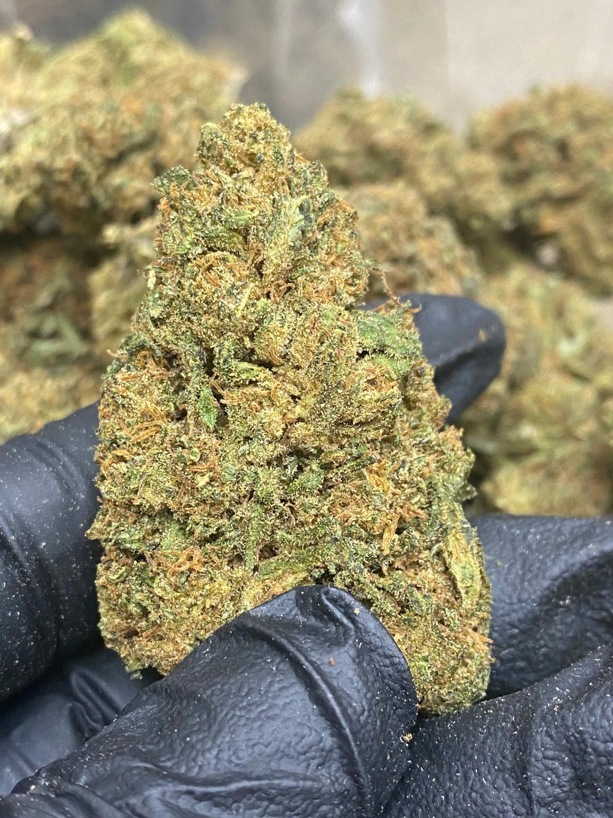 Lifter CBD Flower