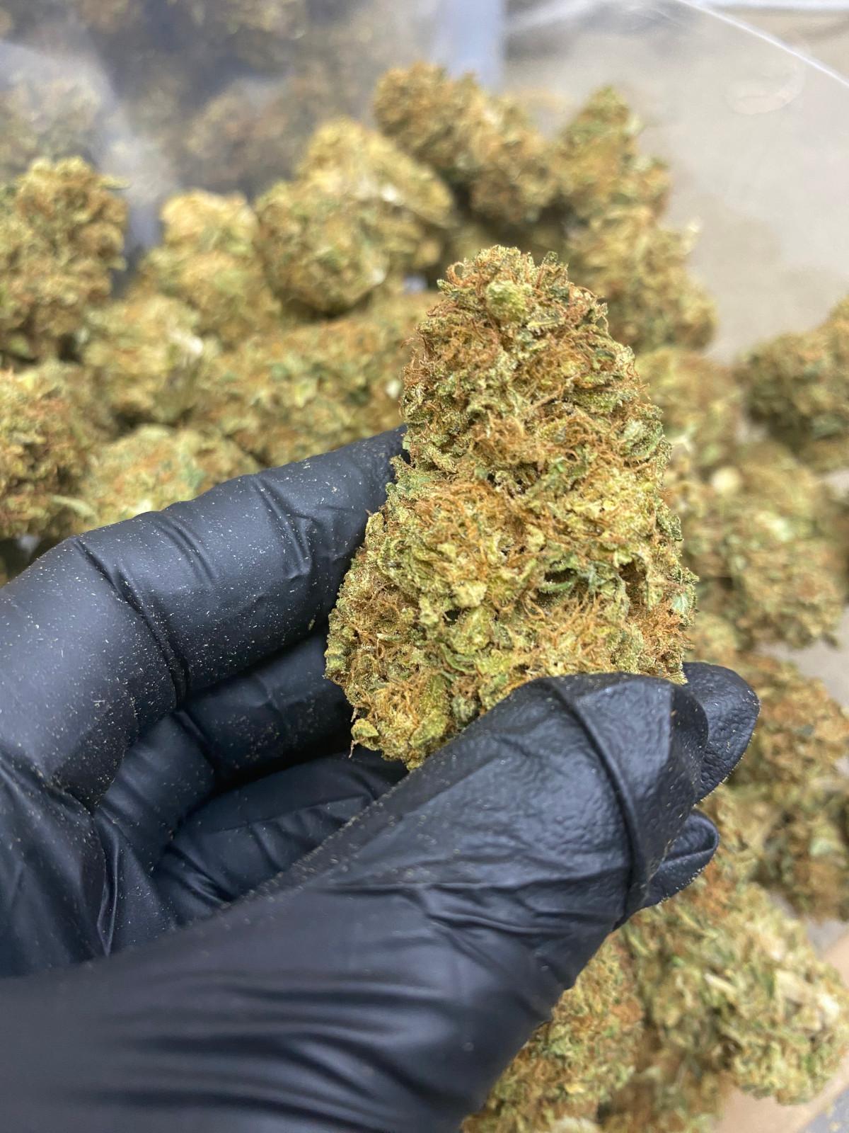 Sour Brulee CBD Flower