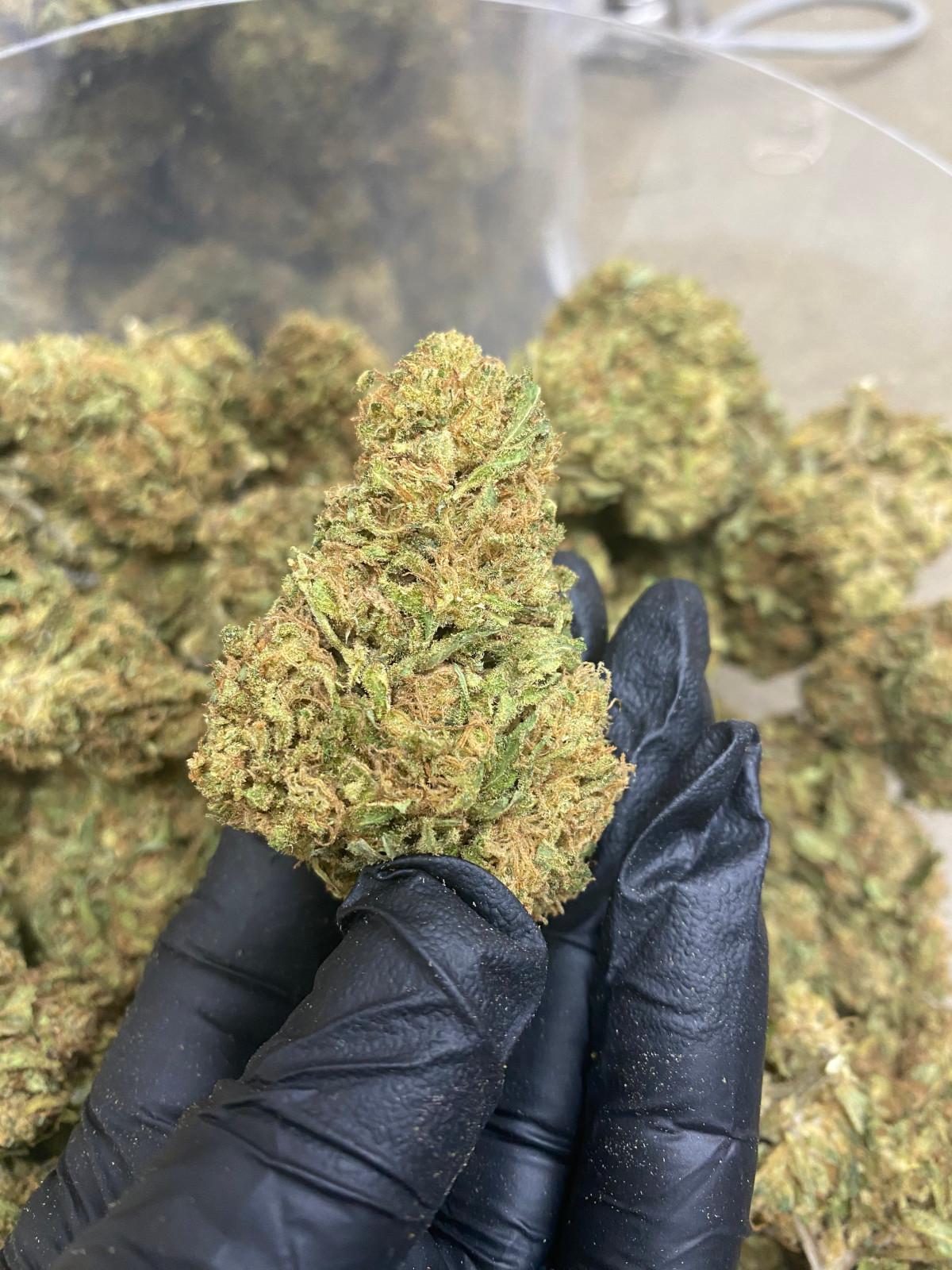 Sour Chem CBD Flower