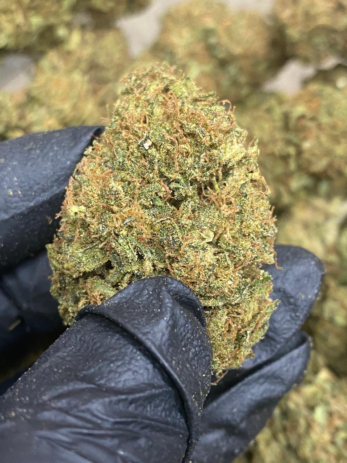 Sour Lifter CBD Flower
