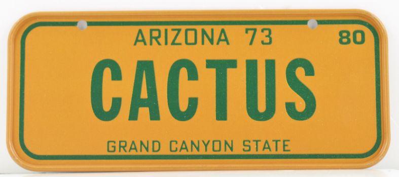 Vintage 1980 All Metal Bicycle Tag Arizona image