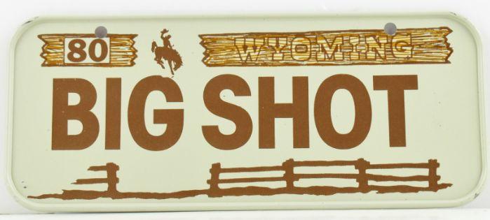 Vintage 1980 All Metal Bicycle Tag Wyoming image