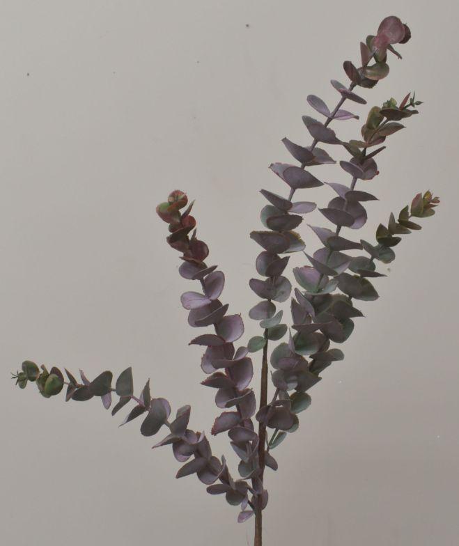 EUCALYPTUS LEAVES SPRAY BURGUNDY image