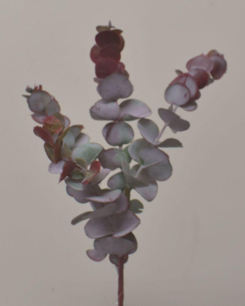 EUCALYPTUS LEAVES SPRAY BURGUNDY image