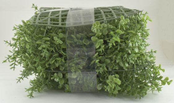 Boxwood Mats - Set of 4 image