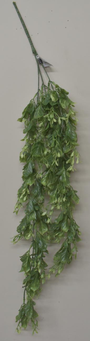Hanging Mixed Foliage Bush image
