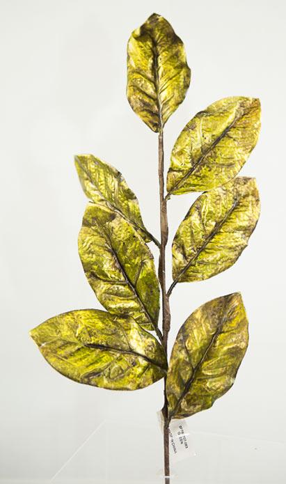 Green Magnolia Leaf Spray image