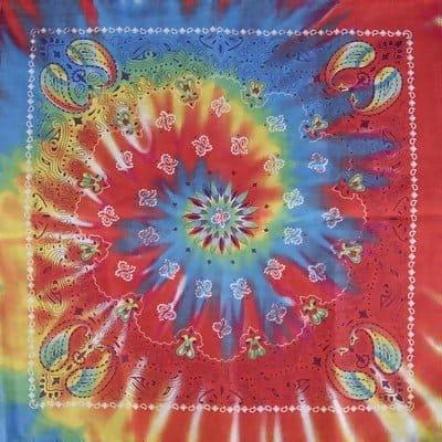 Tie Dye Swirl Paisley - 22×22 Inch image