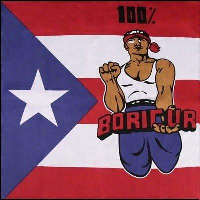 Puerto Rico Flag - 100% Boricur Bandana - 22×22 Inch image