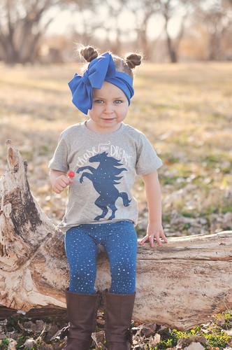 Southwestern Celestial Pony Shirt image
