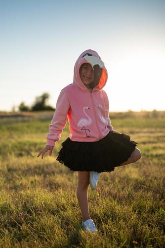 Flamingo 3D Hoodie