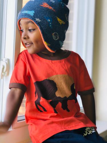 Buffalo Shirt image