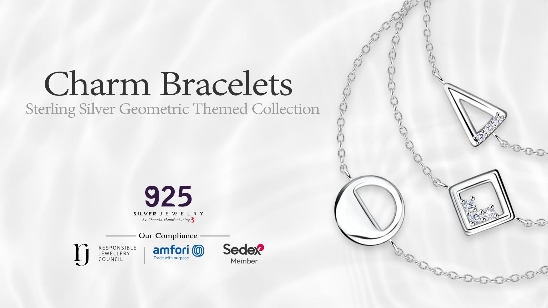 Silver Bracelets with Charms image