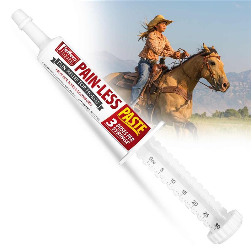 Jeffers Equine Pain-Less Paste for Horses – 30cc Easy Dose Syringe image
