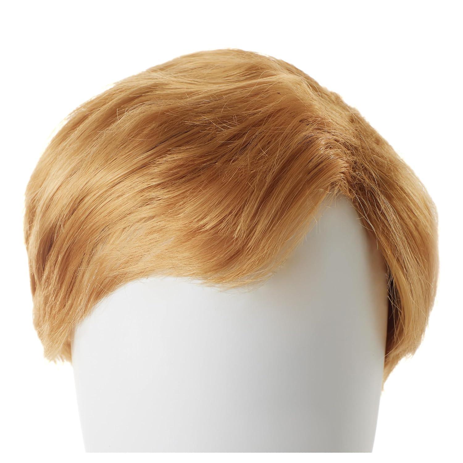 DONALD TRUMP WIG image