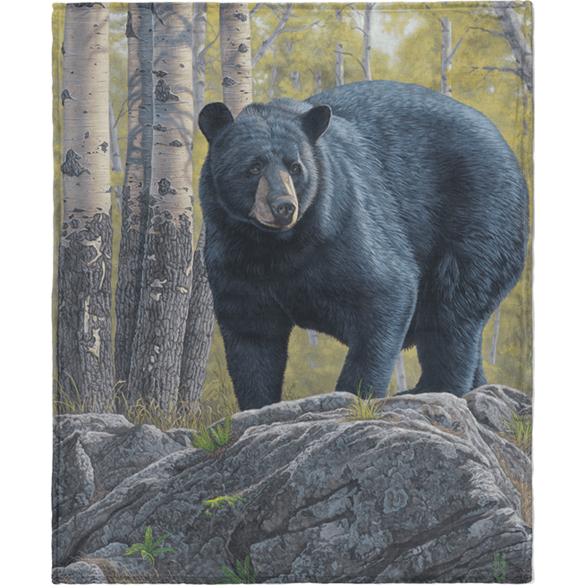 ASPEN OVERLOOK THROW image