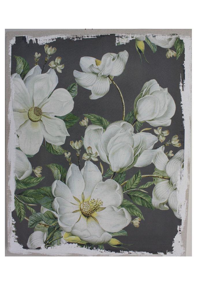 MAGNOLIA BLOOMS CANVAS 48x1.5x60' image