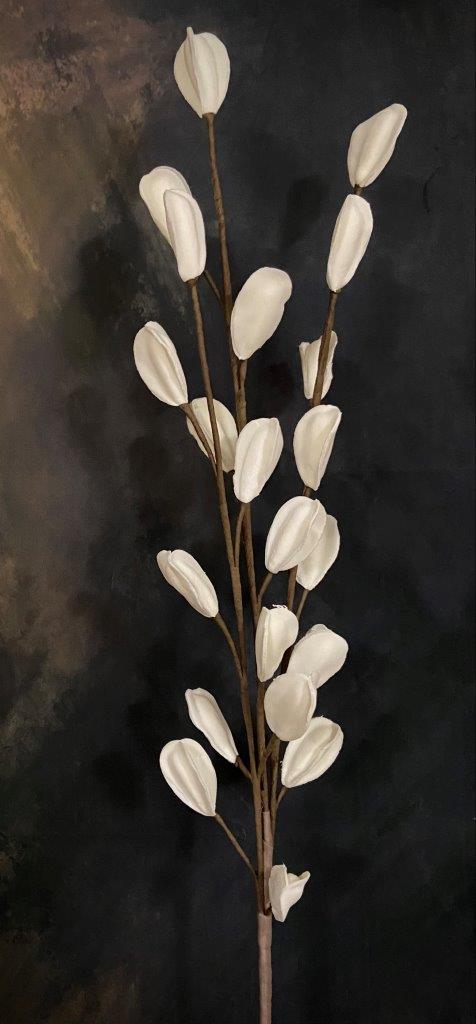 CREAM PODS 41"L image