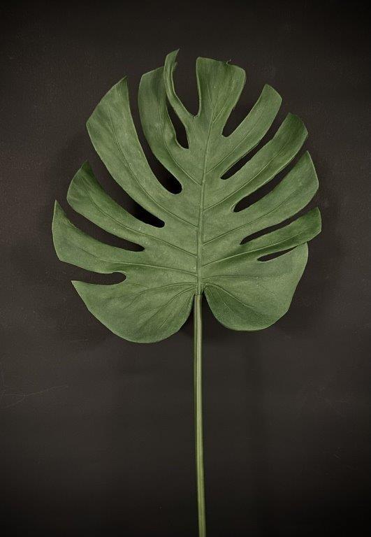 TROPICAL LEAF 26"