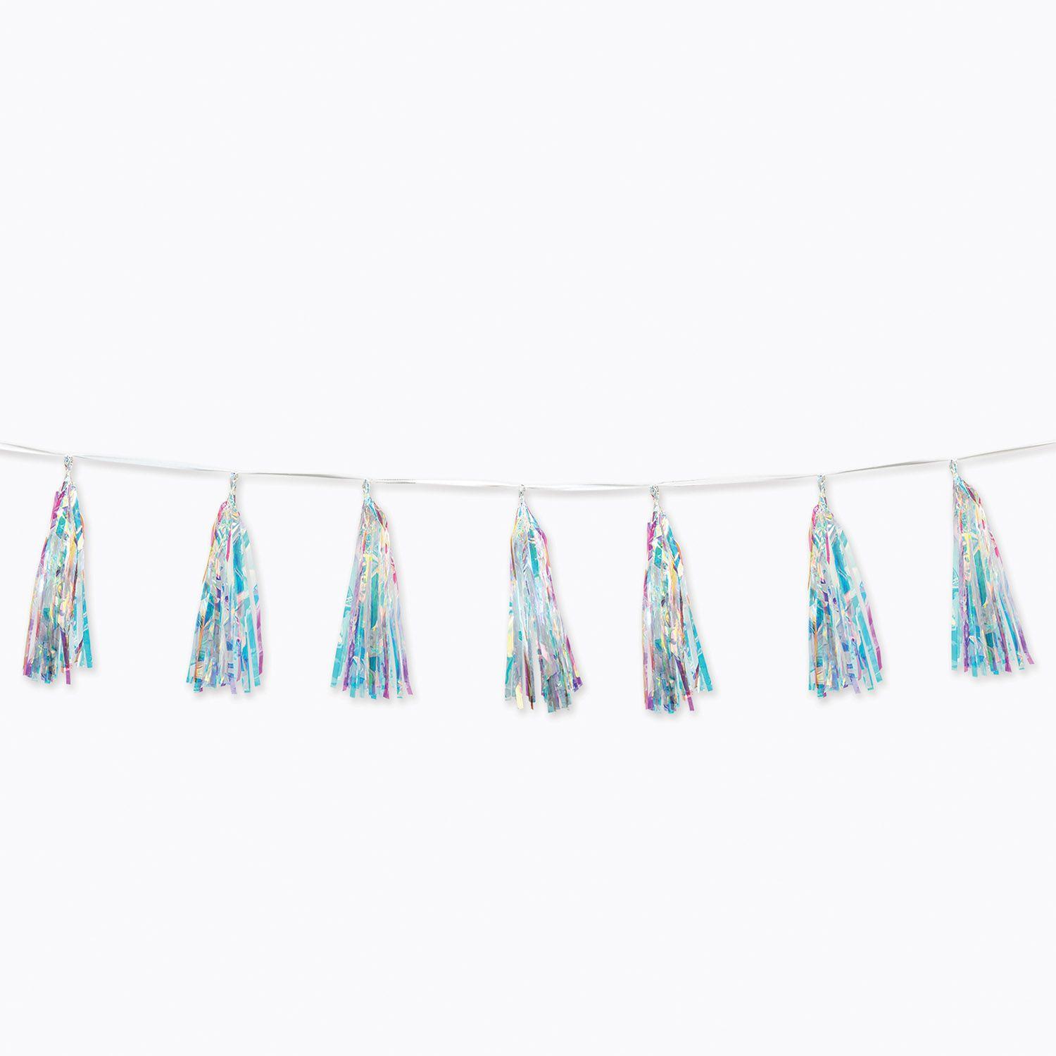 Iridescent Tassel Garland image