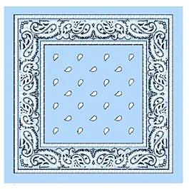 Sky Blue Paisley Cotton Bandana image
