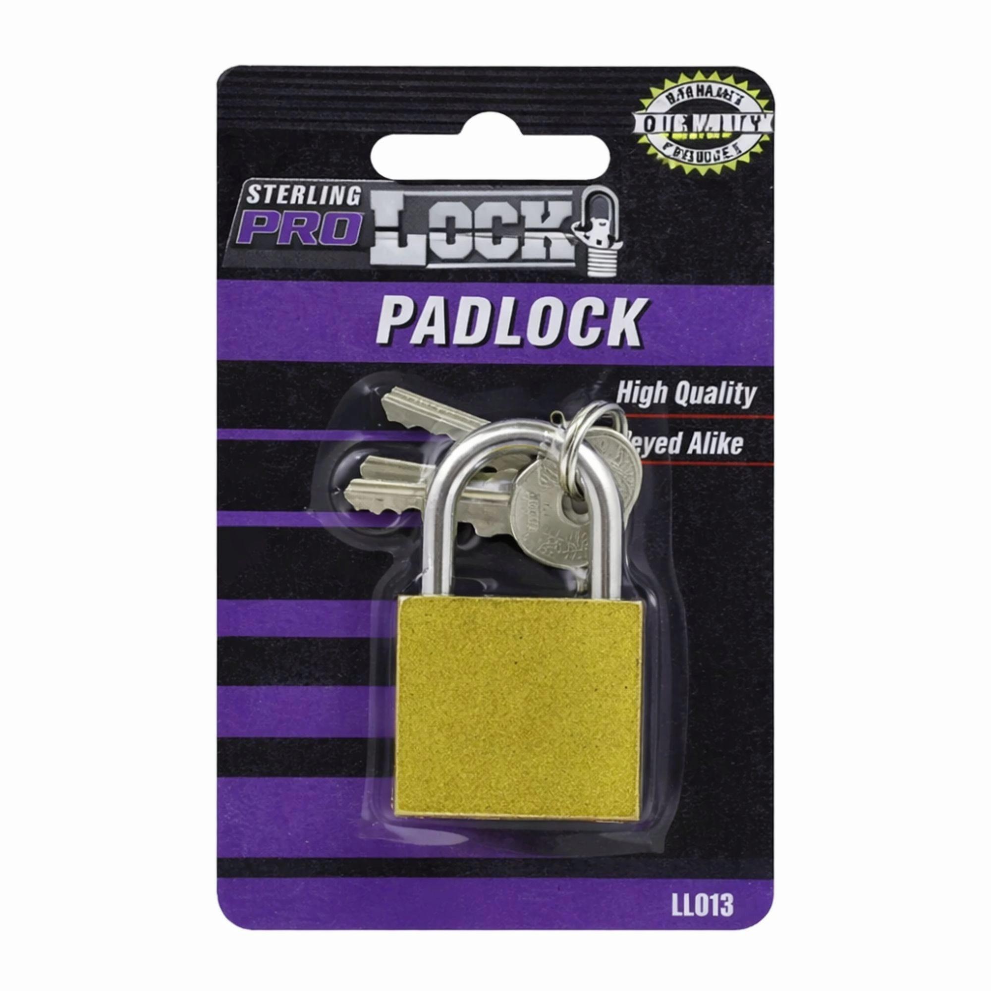 Iron Padlock with Keys image